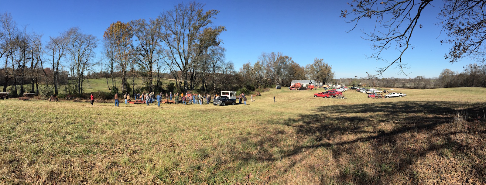 Wilson Auctions Real Estate Services